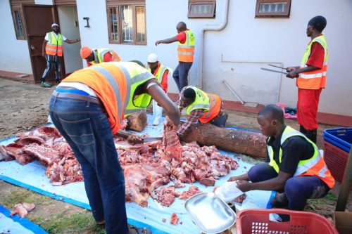 qurban - alwaasi charity