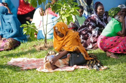 qurban - alwaasi charity